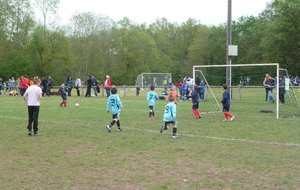 P1060022.JPG