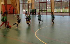 IMG_2505.JPG