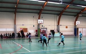 IMG_4032.JPG