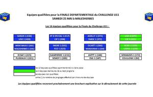 514cd6caf0883_130322114658_bilan_du_challenge_dep_u11_3e_t.jpg