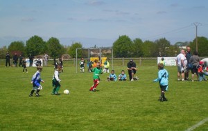 51912c6609016_CIMG3124.JPG