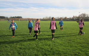 5665e97f93dfb_pithiviers5.jpg