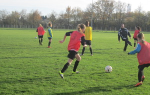5665e9df567ce_pithiviers6.jpg