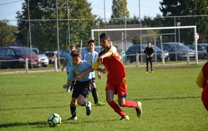 59e3c32d40534_DSC0040.JPG