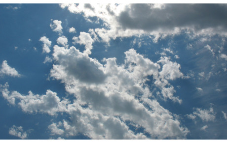 Planning terrain et minibus