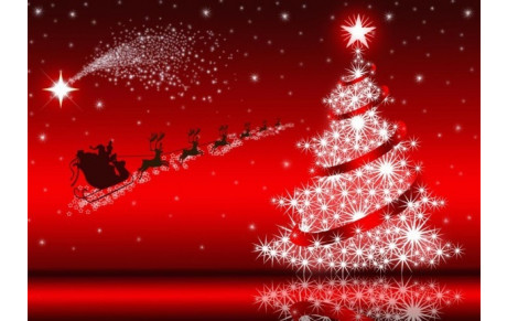 Arbre de Noël du RCBB : samedi 12 décembre 15